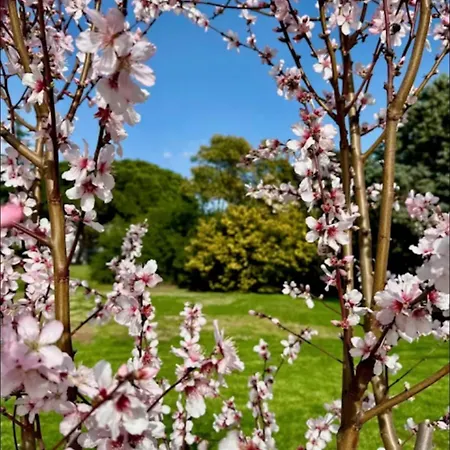 Lejlighed Privee Avec Balcon, Piscine Et Place De Parking