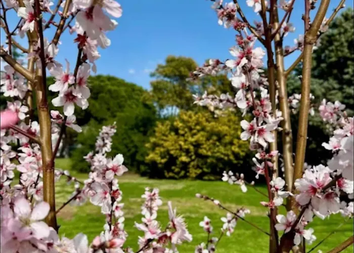 Apartman Privee Avec Balcon, Piscine Et Place De Parking